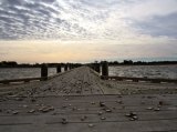 Clamshells on the dock!